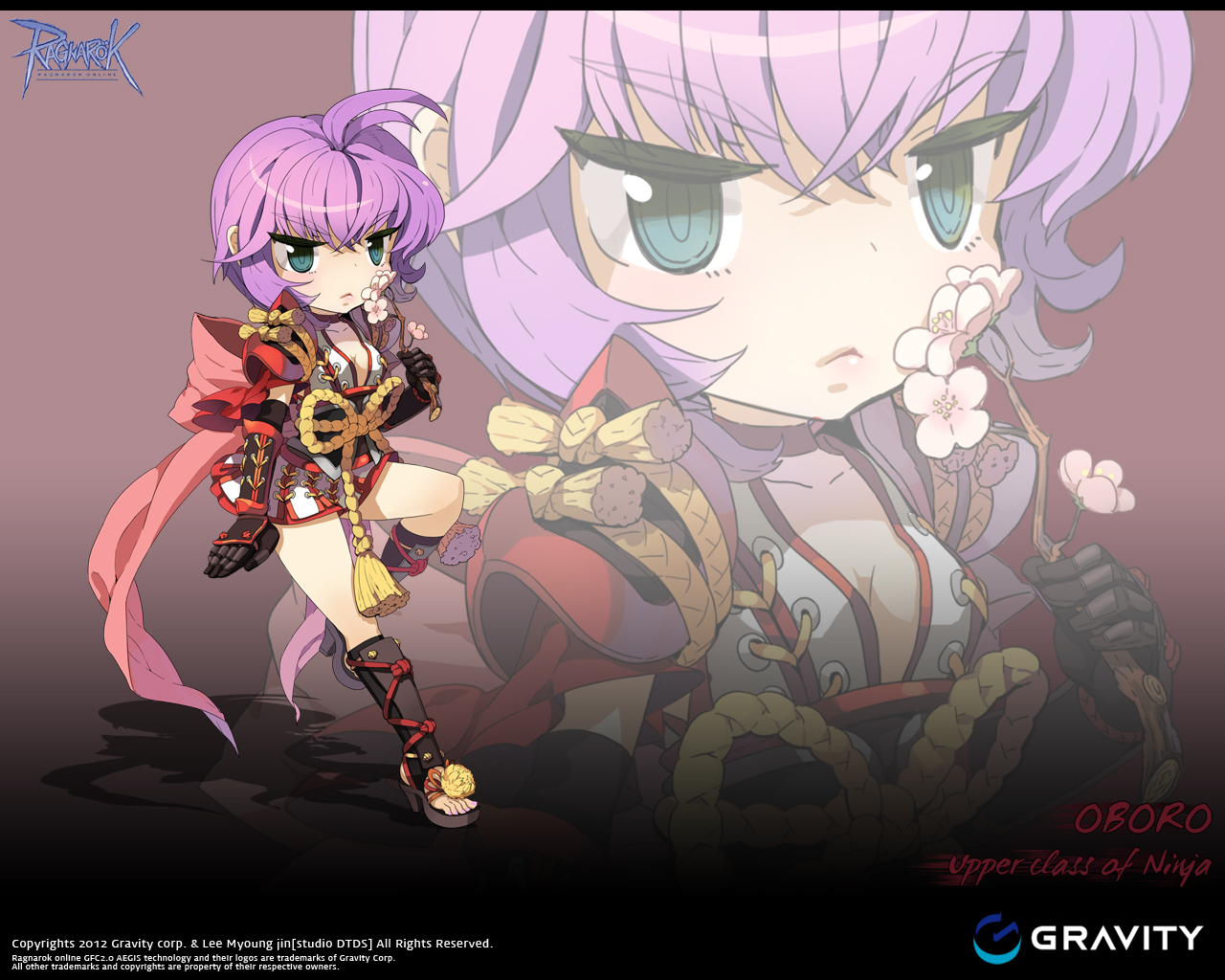 RO ONLINE visual data 6